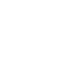 SUSTAINABILITY